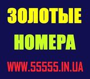 Купить Красивые Золотые номера МТС 050,  066,  095. 099 Украина 