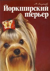 Йорширский терьер