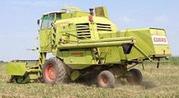 Комбайн зерноуборочный Claas Merkator 75