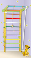 Спортивный уголок цветной,  шведская стенка