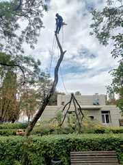 Спил дерева, демонтаж работы, земляные работы в ручную Одесса